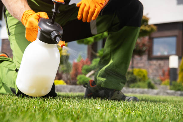 Best Emergency Pest Control  in Sharon, PA