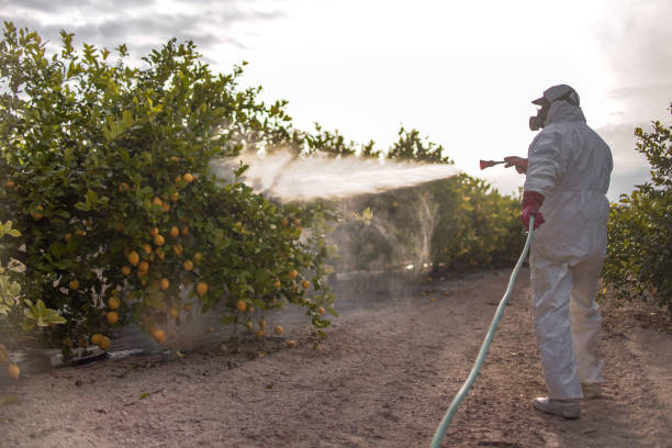 Best Cockroach Control Services  in Sharon, PA