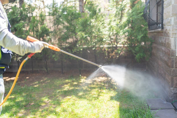 Best Termite Control Services  in Sharon, PA