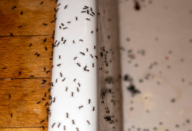 Sharon, PA Pest Control Company