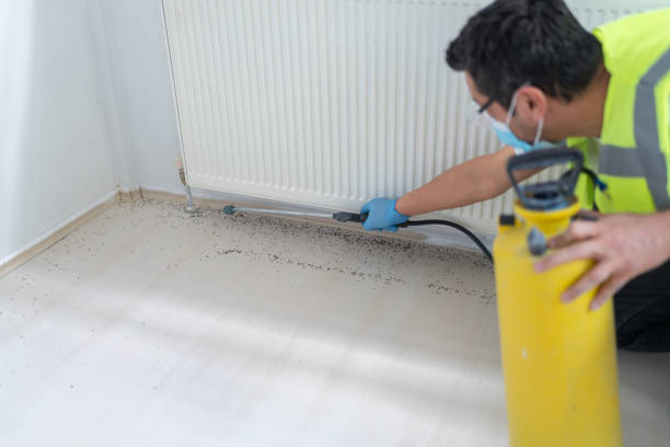 Best Affordable Exterminators  in Sharon, PA